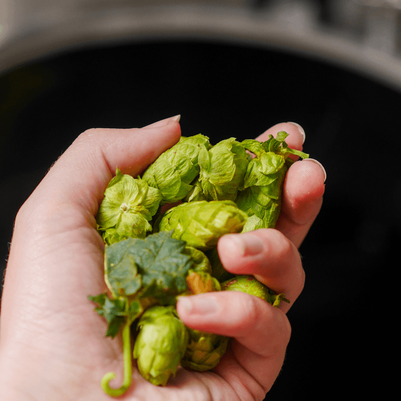 Harvest Daydream Pale Ale
