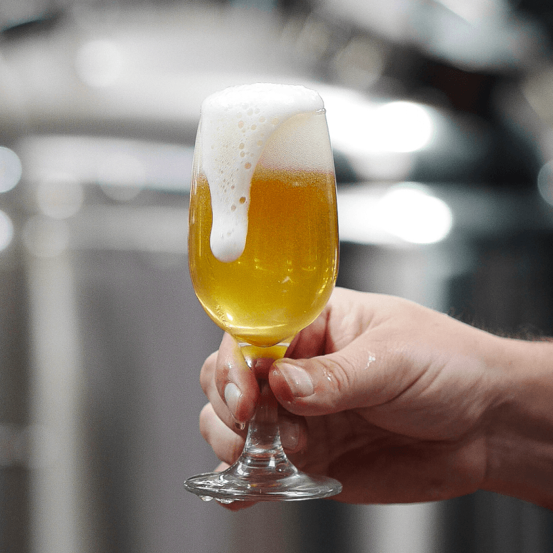 Harvest Daydream Pale Ale